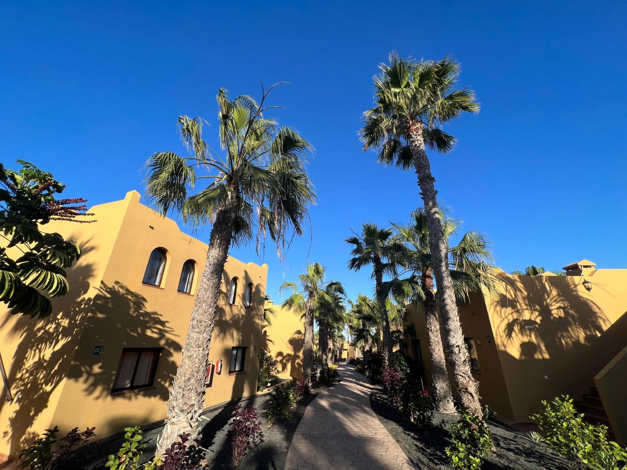 דירות קורלחו Casa De Leon מראה חיצוני תמונה